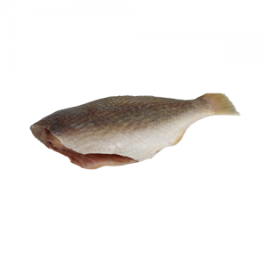 Pan Ready Croaker Fish (with no head)